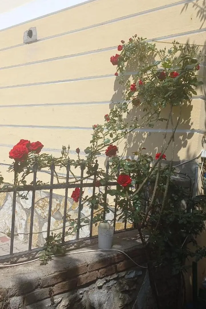 Villa Sema فتحية